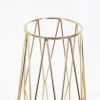 Wholesale of Nordic ins ironwork golden glass vases for living room desktop decoration, dry flower hydroponic flower arrangements and ornaments Specification image